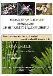 Affiche plantes de la Segpa